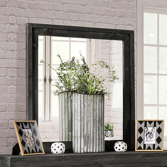Furniture of America Oakridge EM7074DG-M Mirror