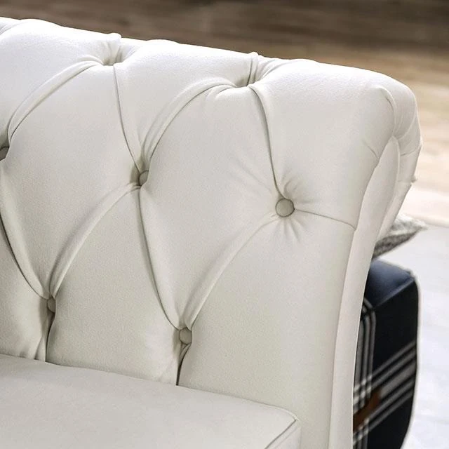 Furniture of America Antoinette SM2228-SF Sofa
