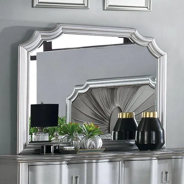 Furniture of America Aalok CM7864M Mirror
