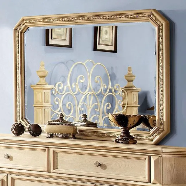 Furniture of America Waldenburg CM7810M Mirror