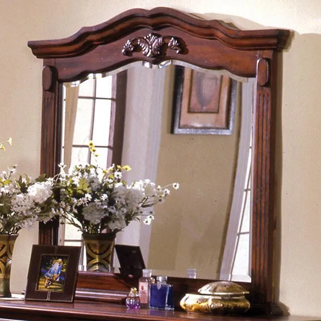 Furniture of America Lewisburg CM7721M Mirror