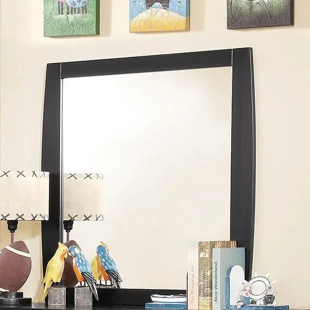 Furniture of America Marlee CM7651BK-M-VN Mirror
