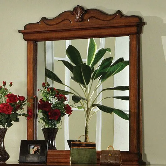 Furniture of America Venice CM7650DK-M Mirror