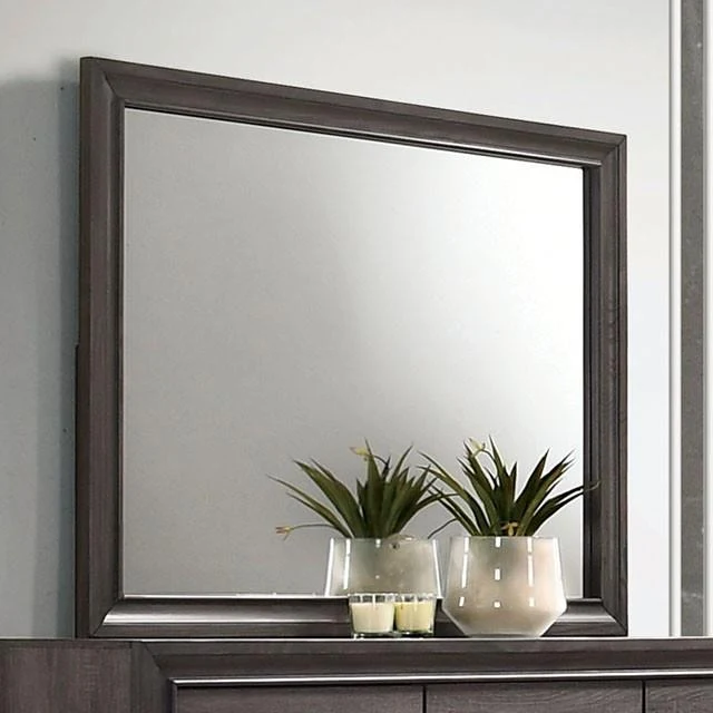 Furniture of America Chrissy CM7552GY-M Mirror