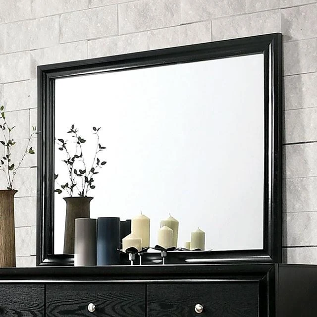 Furniture of America Chrissy CM7552BK-M Mirror