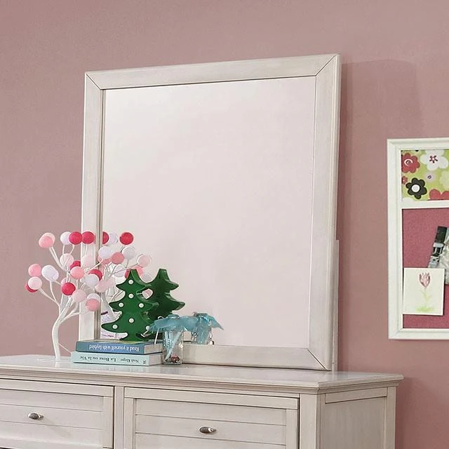 Furniture of America Brogan CM7517WH-M Mirror