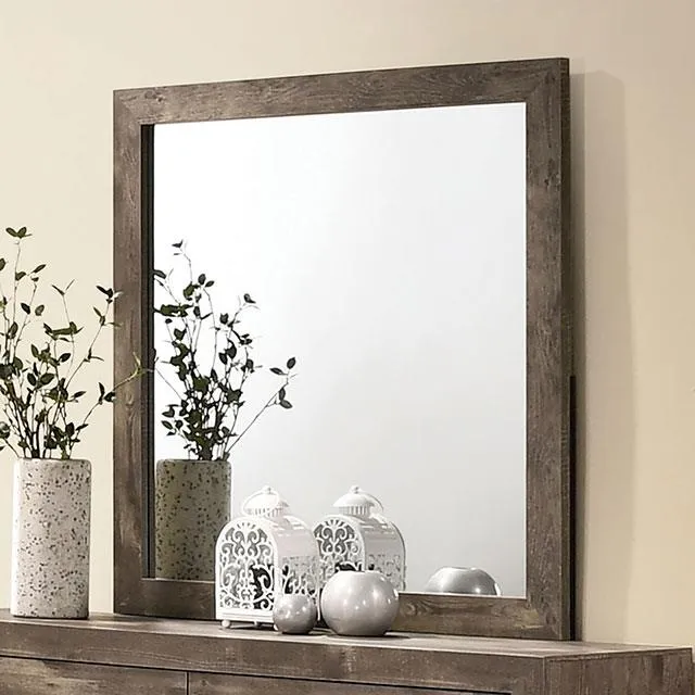 Furniture of America Larissa CM7149M Mirror