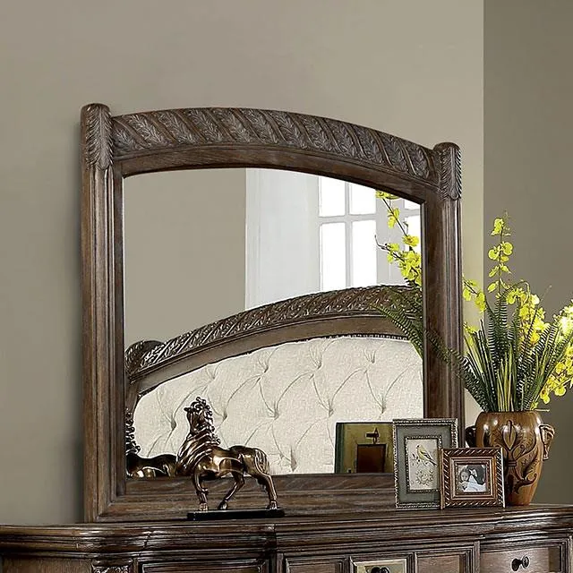 Furniture of America Timandra CM7145M Mirror