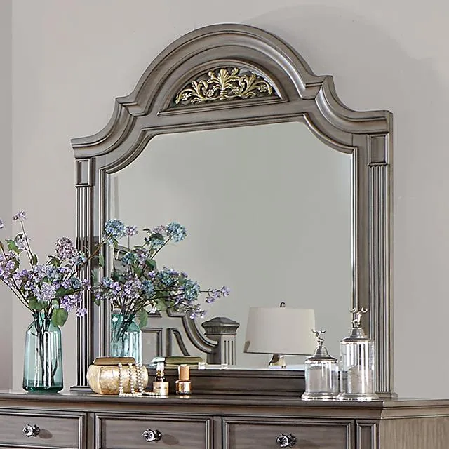 Furniture of America Syracuse CM7129GY-M Mirror