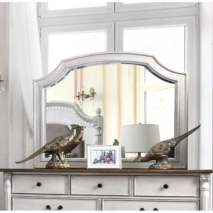 Furniture of America Hesperia Dresser Mirror CM7441M