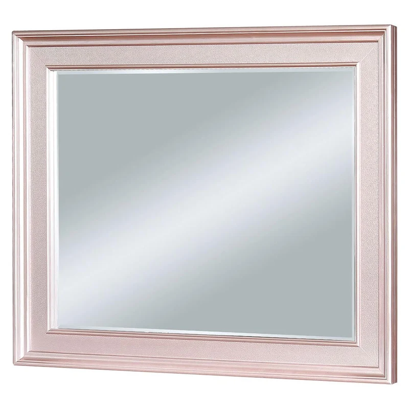 Furniture of America Avior Dresser Mirror CM7170RG-M