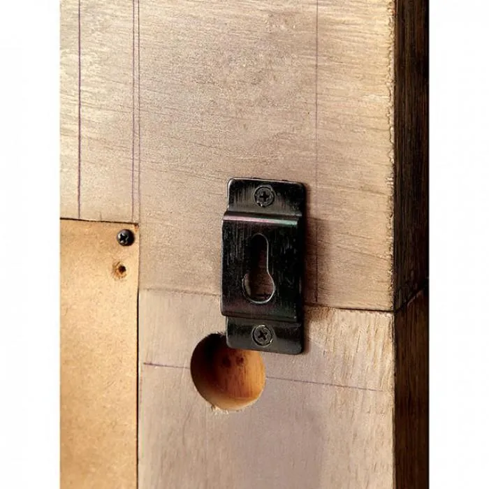 Furniture of America Janeiro Dresser Mirror CM7628M
