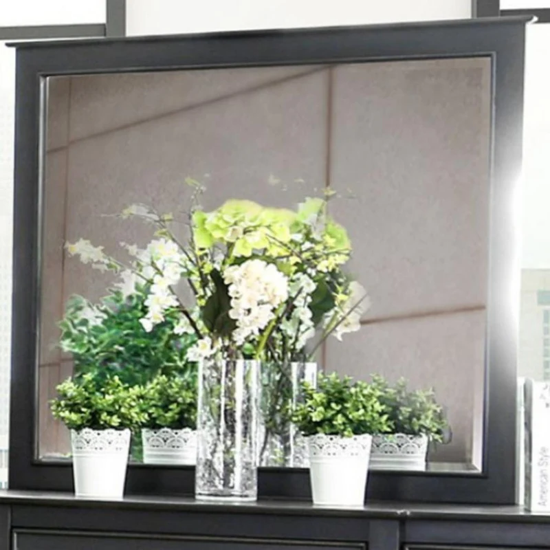 Furniture of America Arabelle Dresser Mirror CM7481M