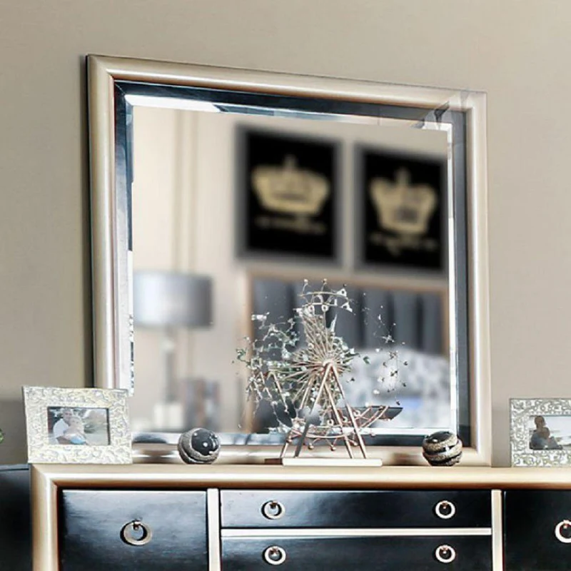Furniture of America Braunfels CM7263M Mirror