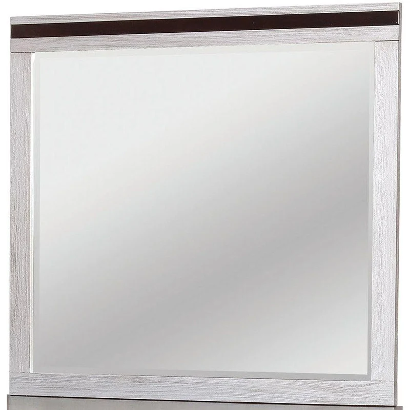 Furniture of America Euclid Dresser Mirror CM7206M
