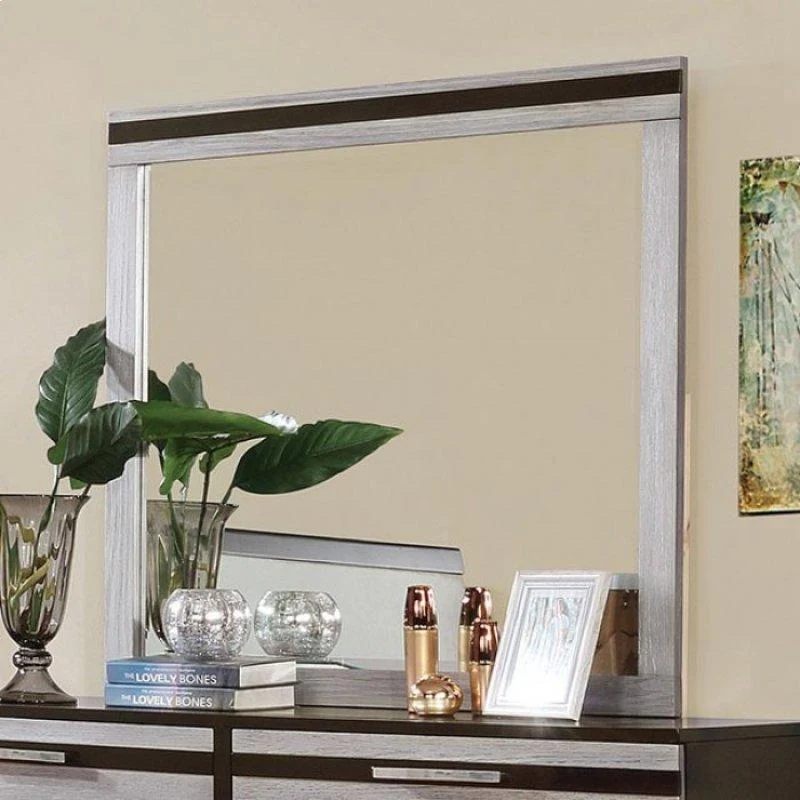 Furniture of America Euclid Dresser Mirror CM7206M