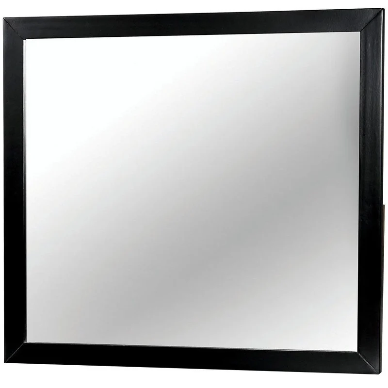 Furniture of America Lennart Dresser Mirror CM7386BK-M