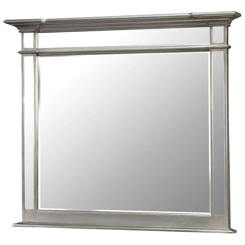 Furniture of America Salamanca Dresser Mirror CM7673M