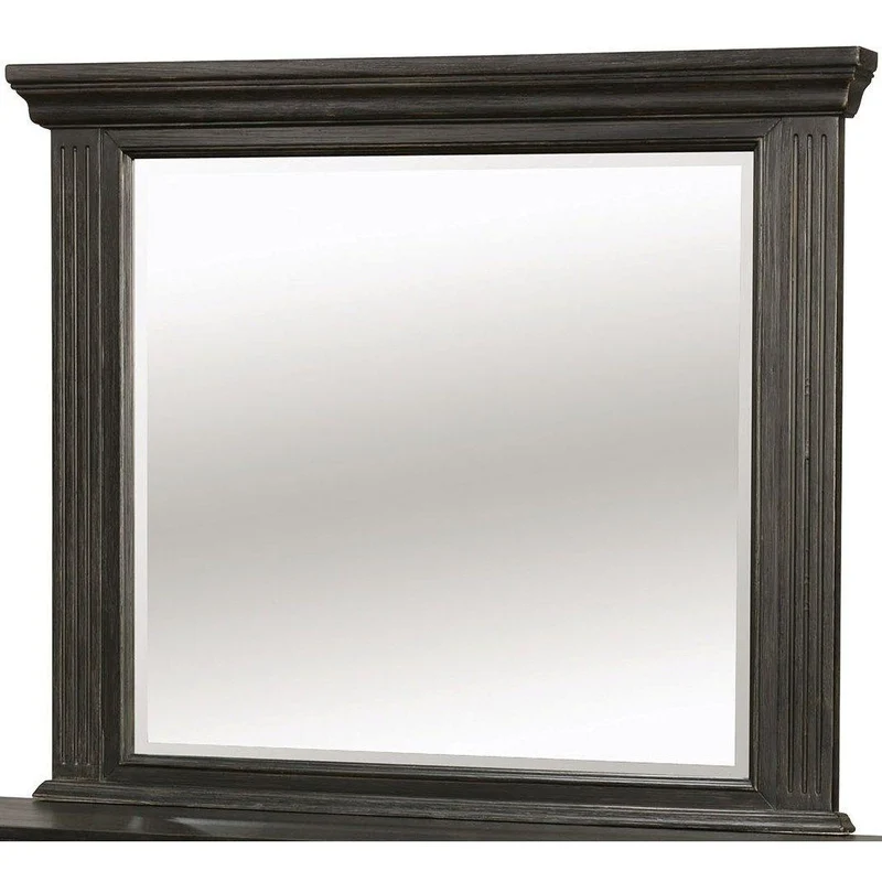 Furniture of America Roisin Dresser Mirror CM7578M