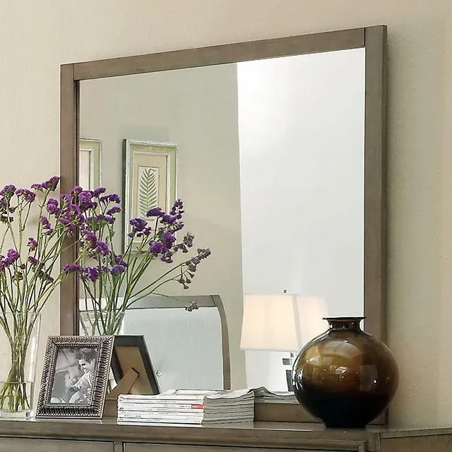Furniture of America Enrico Dresser Mirror CM7068GY-M