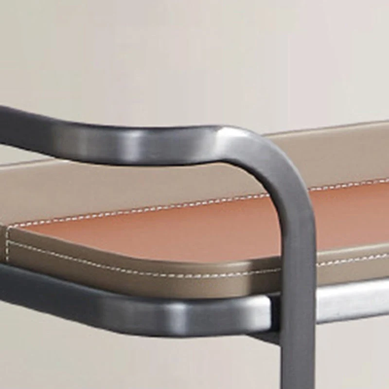 Contemporary Nordic Rectangular Saddle-Style Faux Leather Stainless Steel Removable End Table 1-Storage For Living Room