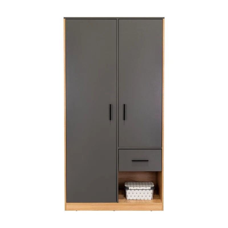 Clóset Ader, Plata Oscuro y Fresno Europeo, de Dos Puertas ZF