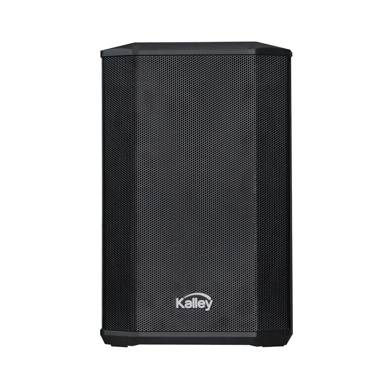 Parlante Portable 107W, Negro