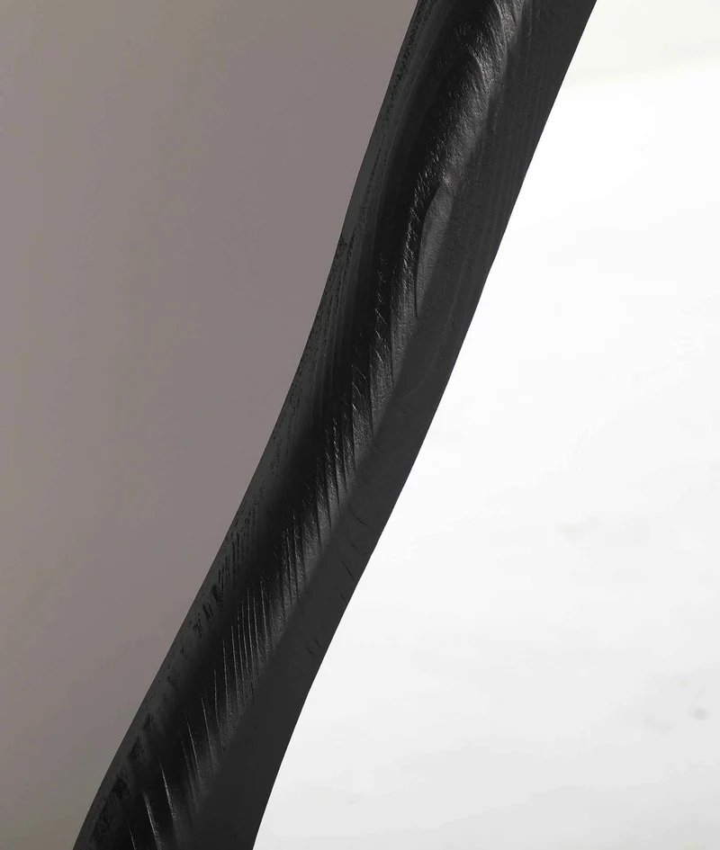 Gudow Contemporary Style Mirror