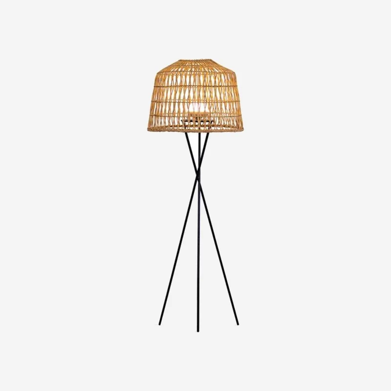 AMUSA Lamp