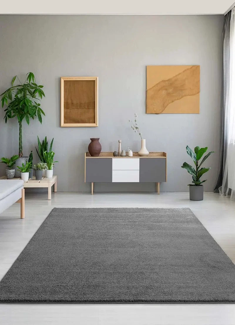 Montana plain rug in minimalist style, grey