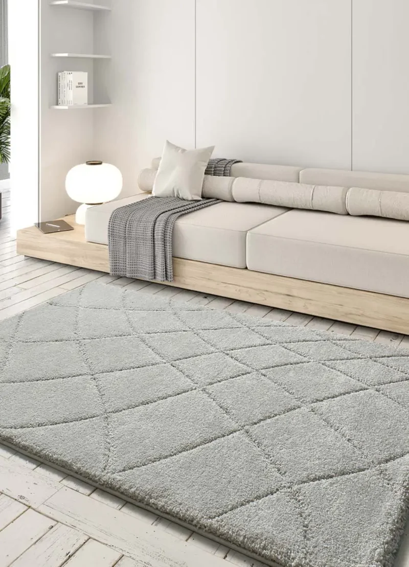 Molier 8785 rug in shaggy style, silver