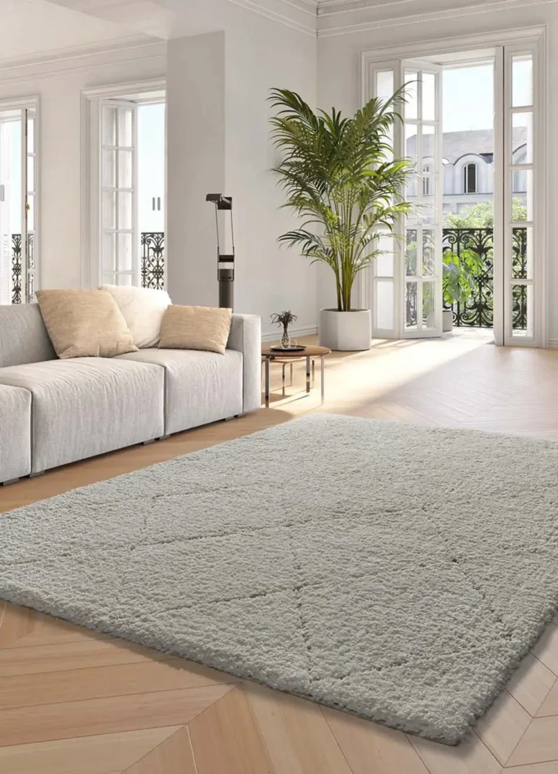 Atesa 80260 shaggy rug in Scandinavian white