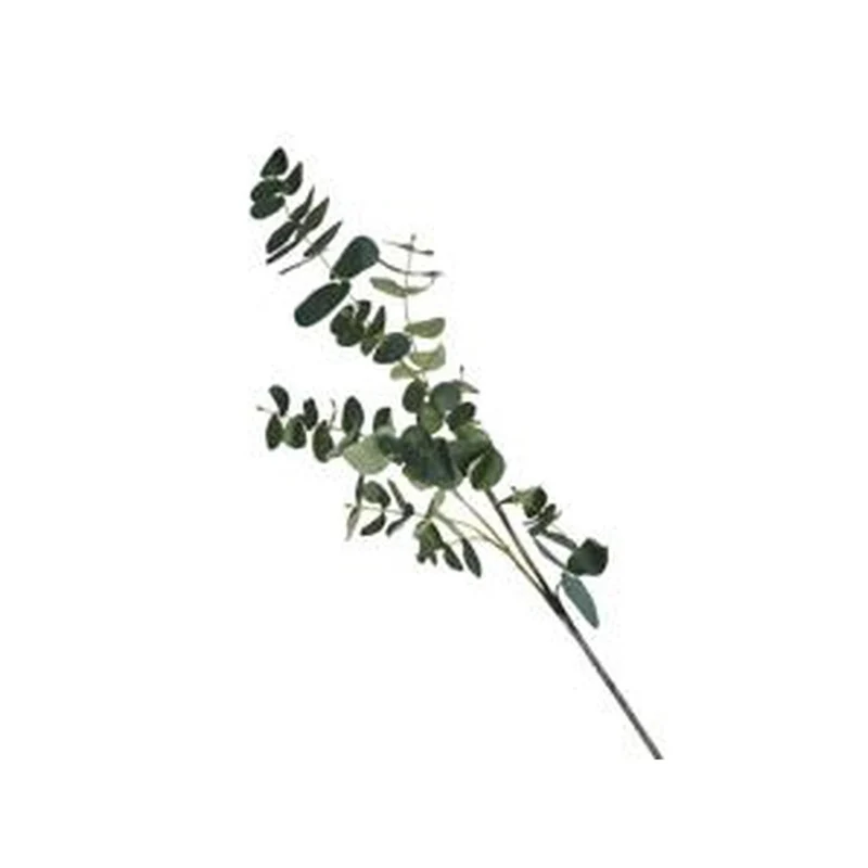 Flores Y Hojas Sueltas 88 Eucalipto F243