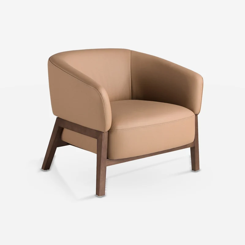 Brown leather armchair