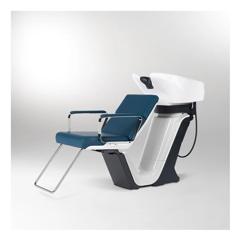 Takara Belmont Rückwärtswaschanlage RS Adria II